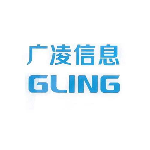 山东广凌信息技术